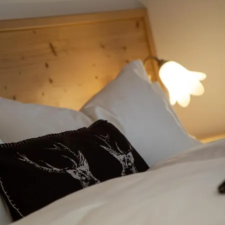 Hotel Giasenei 3*